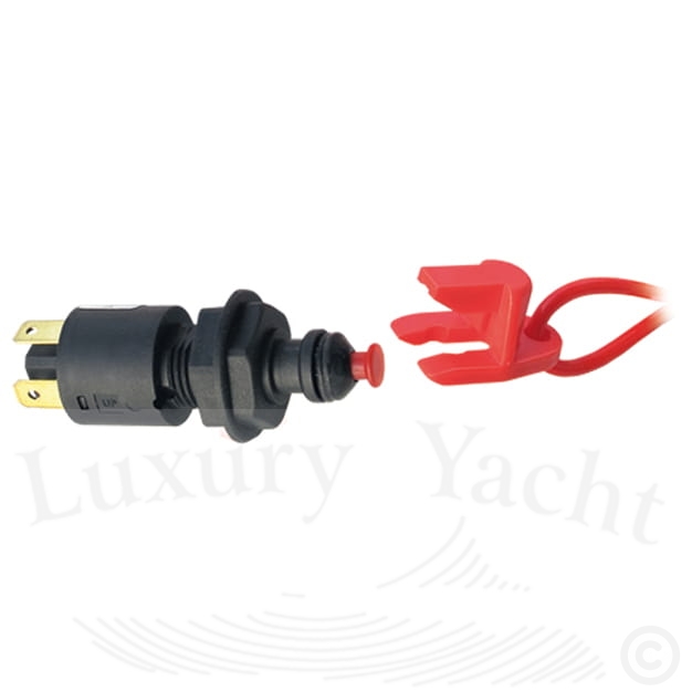 zrywka 630397 (1).jpg