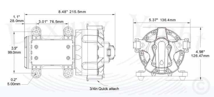 schemat pompy seaflo 65A.png